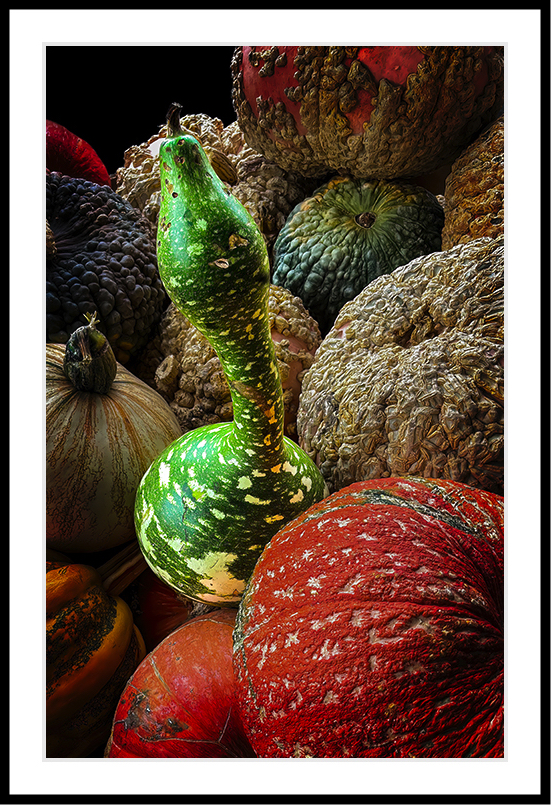 Assortment of gourds with one standing out.